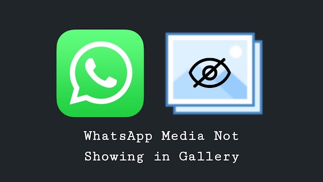 How to Fix WhatsApp Images Not Showing in Gallery - 1