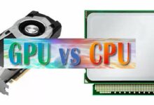 Graphics card vs Processors
