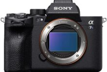 Sony A7s III Mirrorless Camera Review