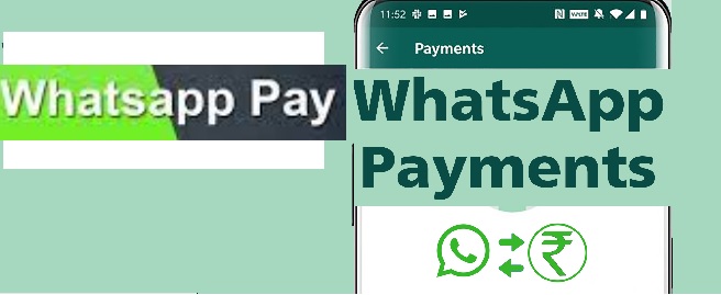 WhatsApp Payments Enable: How To Send and Receive Money ?