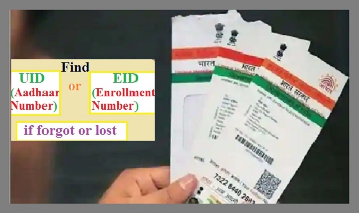 Lost Aadhaar Card? Here's How To Retrieve It Online