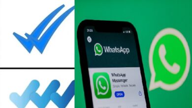 WhatsApp Not Launching Three Blue Ticks Feature: Don’t Fall For Fake News