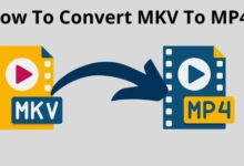 MKV to MP4 (5)