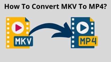MKV to MP4 (5)