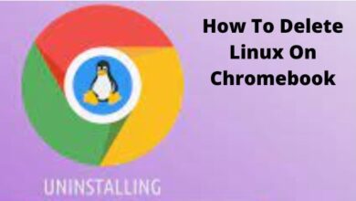 How To Delete Linux On Chromebook