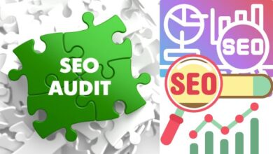 How-To-Do-SEO-Audit (3)