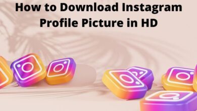 Download Instagram Profile Picture