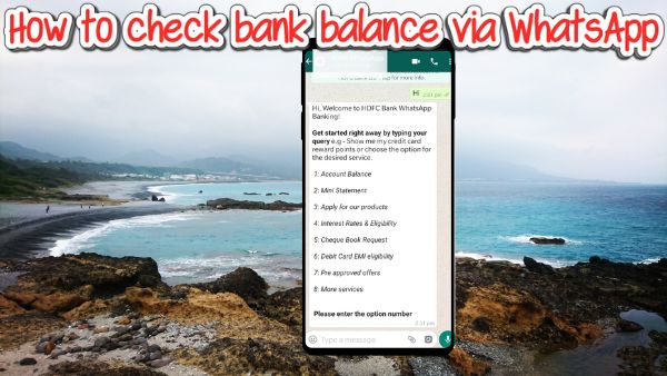 How to check bank balance