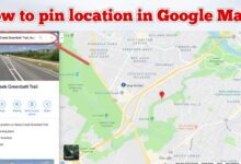 How to pin location in Google Maps