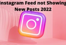 Instagram Feed not Showing New Posts