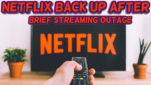 Netflix back up