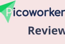 Picoworkers Review