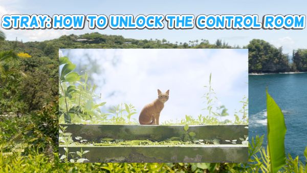 How to unlock the control room