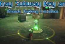 Stray Subway Key