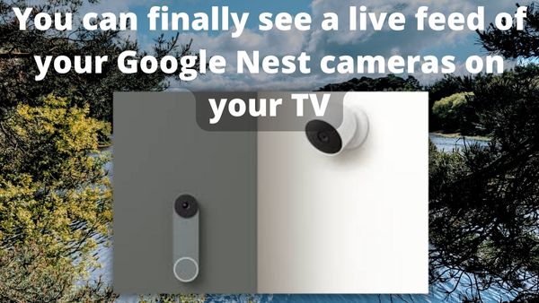 live feed of your Google Nest