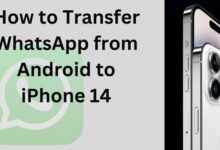 WhatsApp from Android to iPhone 14