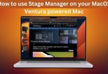 How to use Stage Manager