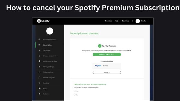 Spotify Premium Subscription