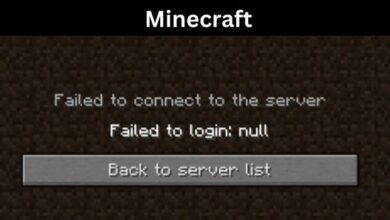 loginnull error in Minecraft