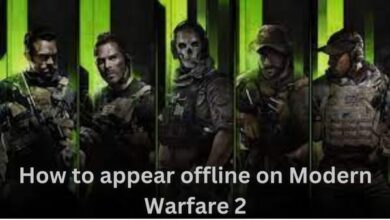 How to appear offline on Modern Warfare 2