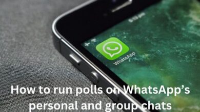 polls on WhatsApp