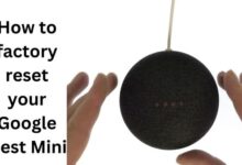 factory reset your Google Nest Mini
