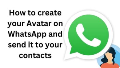 Avatar on WhatsApp