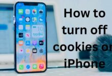 turn off cookies on iPhone