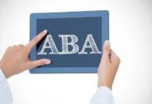 aba therapy business