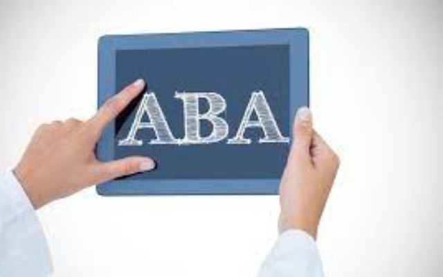 aba therapy business