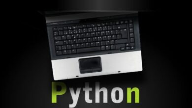 How to program in Python for beginners