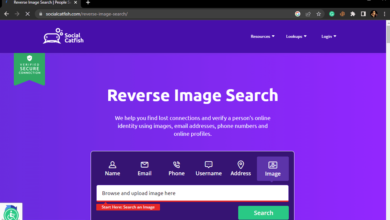 Reverse Image Search Is