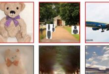 AI creates pictures of what people are seeing by analyzing brain scans