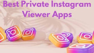 Best Private Instagram Viewer Apps