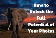 How to Unlock the Full Potential of Your Photos