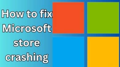Microsoft Store crashing