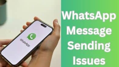 WhatsApp Message Sending Issues