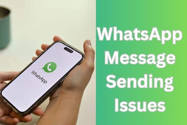 WhatsApp Message Sending Issues