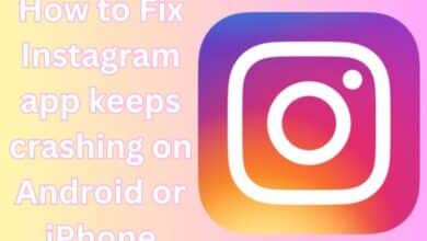 instagram app keeps crashing