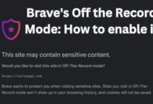 Brave's Off the Record Mode