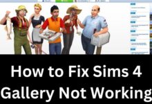 Sims 4 Gallery Not Working