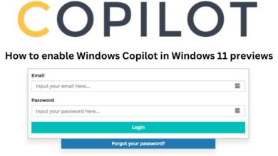 enable Windows Copilot