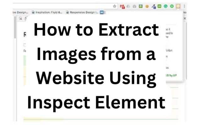 Extract Images from a Website