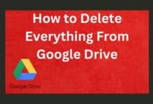 How to Delete Everything From Google Drive