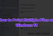Print Multiple Files