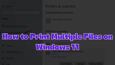 Print Multiple Files