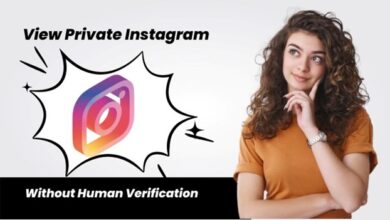 View Private Instagram Without Human Verification