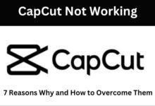 CapCut Not Working
