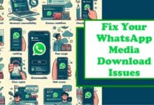 WhatsApp Media Not Downloading