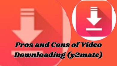 Pros and Cons of Video Downloading